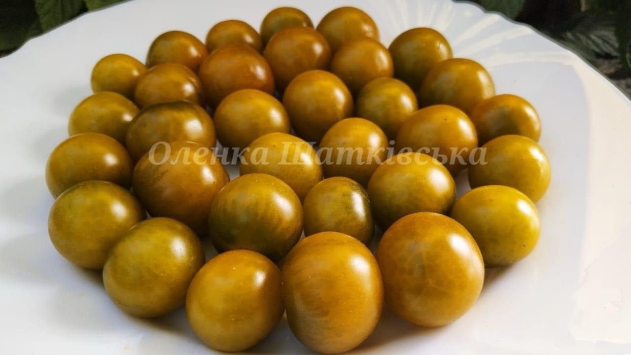 Томат Доктор Грін Фростед ( Green Doctor Frosted). – МегаТомат