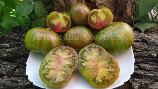 Томат Чероки Лимонні Смуги (Cherokee Lime Stripes). – МегаТомат