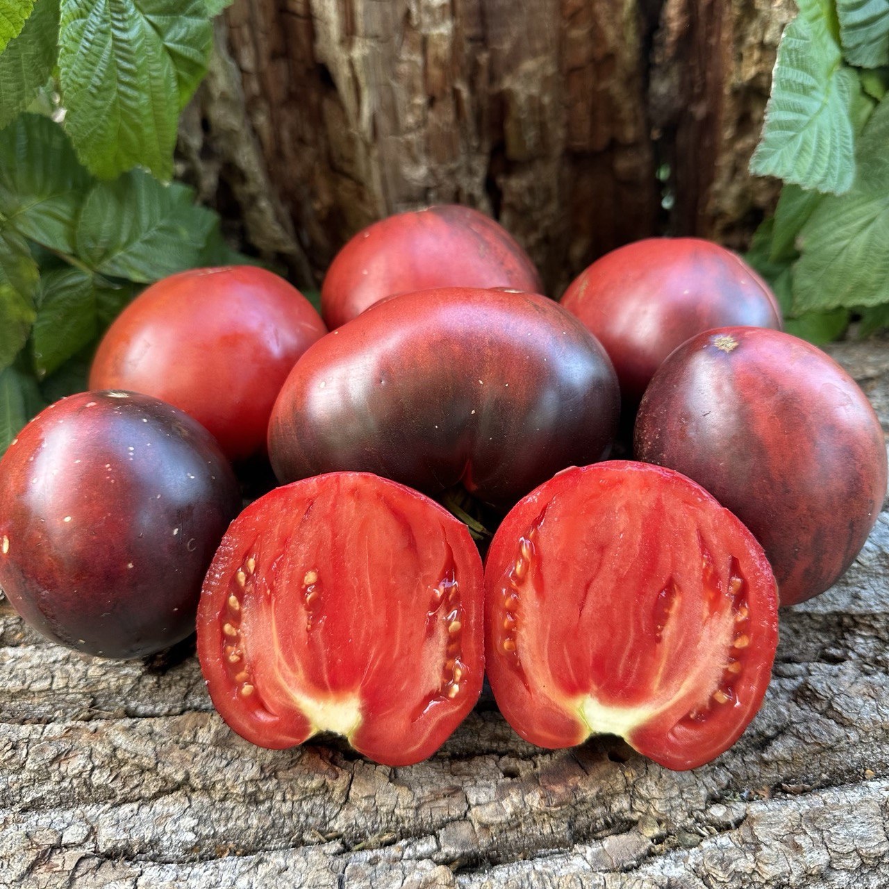 Томат Аметистове Серце – МегаТомат